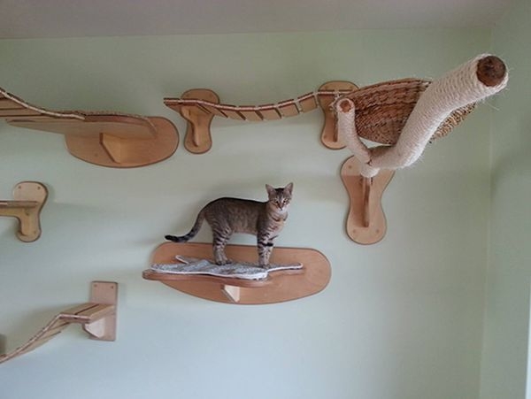 Мебель для кошки