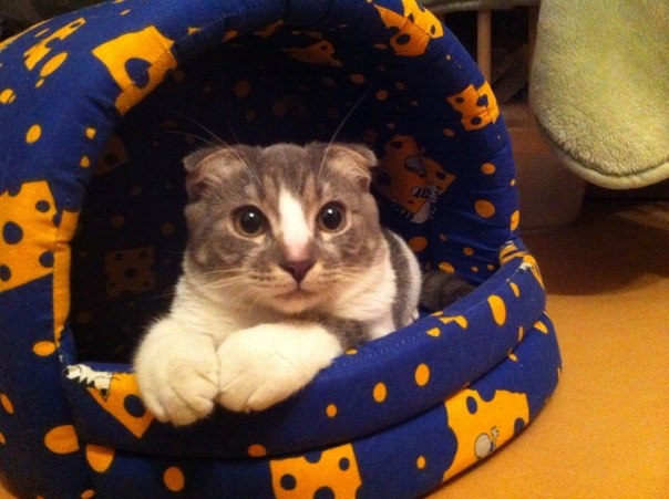 Наш смертник начал сбрасывать гранаты