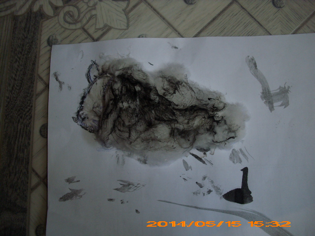 Творчество "Домашние животные" (год и 6)