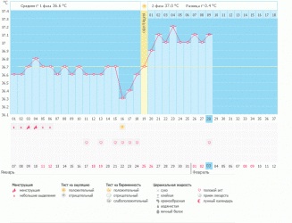 Что выбрать?