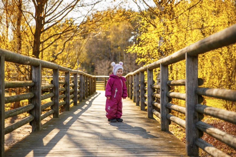 Несколько фотографий из нашего путешествия по Эстонии