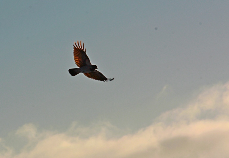 Счастье в малом