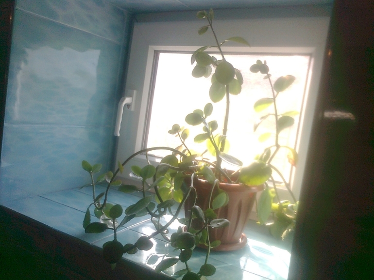 Один день настоящей Флайледи.Взлет 72.