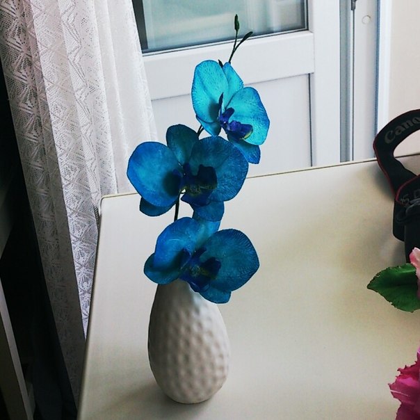 Вот и я сходила на курсы по цветам:)