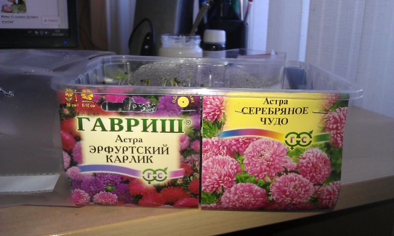 Огород на подоконнике)))