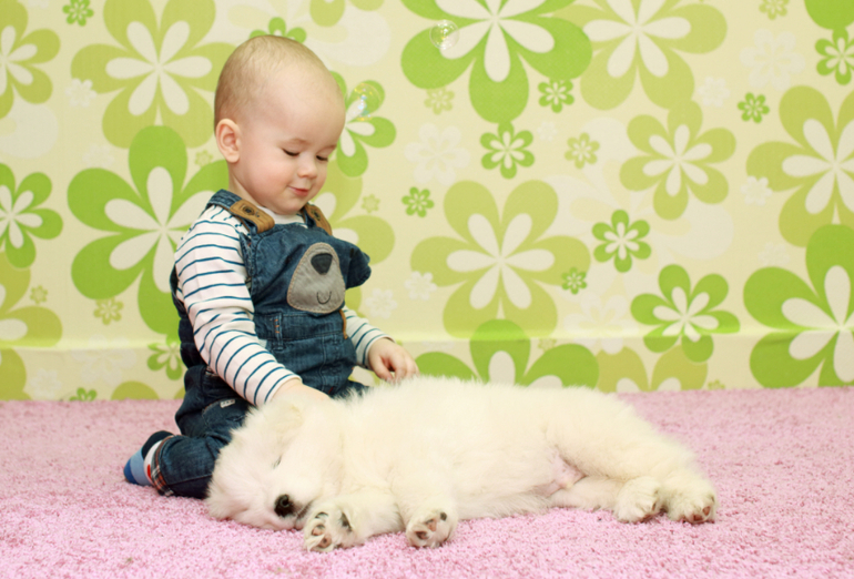 Долгожданные фото с щенками