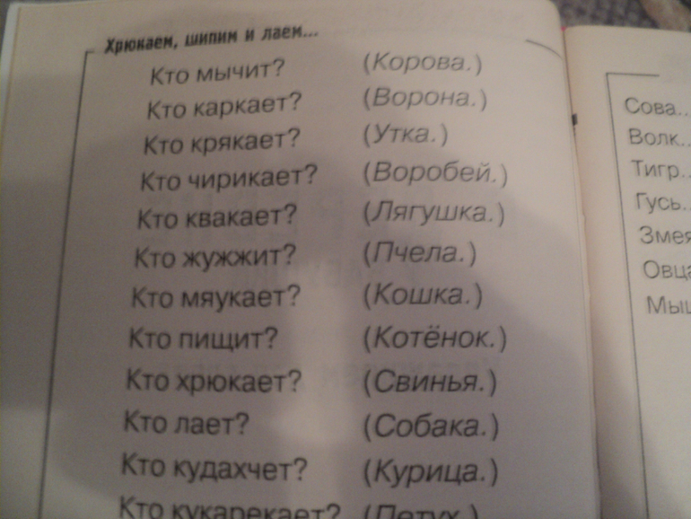 Веселые и полезные игры для малышей!!!