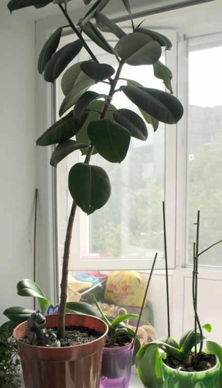 А вот и мои чудо приманочки! Теперь дело за ними, а я не подведу!!!)))