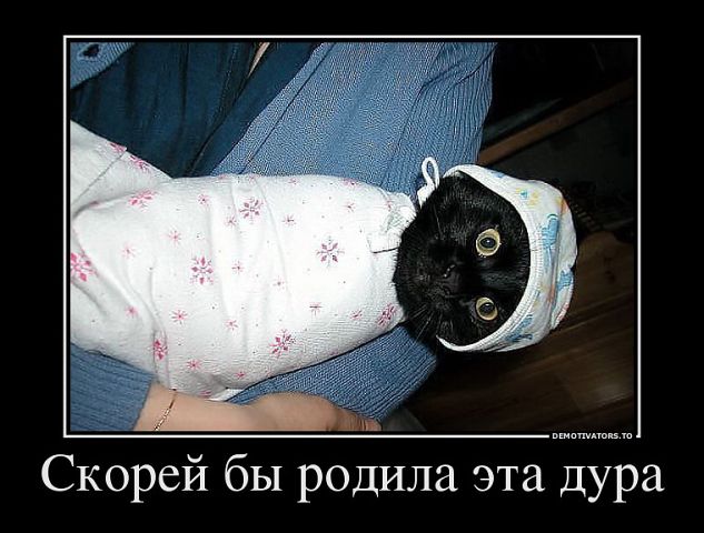 Мой котик тоже так думает)))