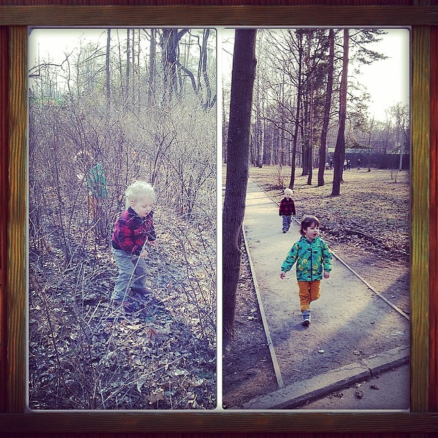 Сокольники, прогулка