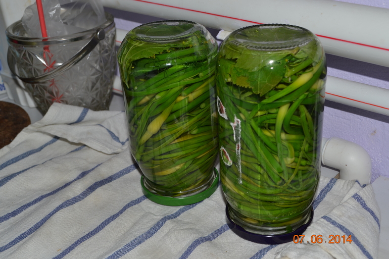 эстафета в доме, понедельник