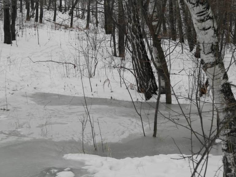 слингопрогулка слингопапы