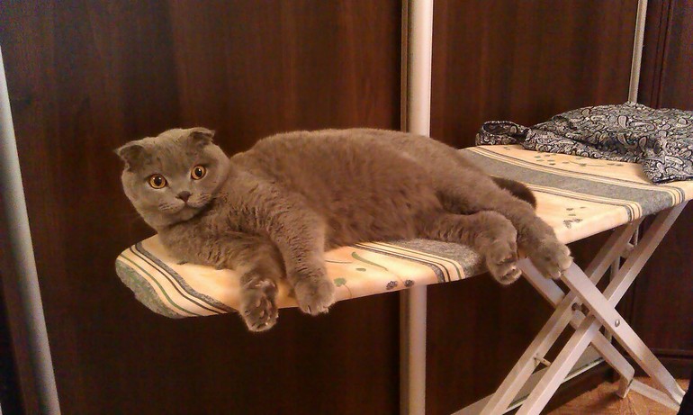 Ещё немного нашего Венченсоо!!!