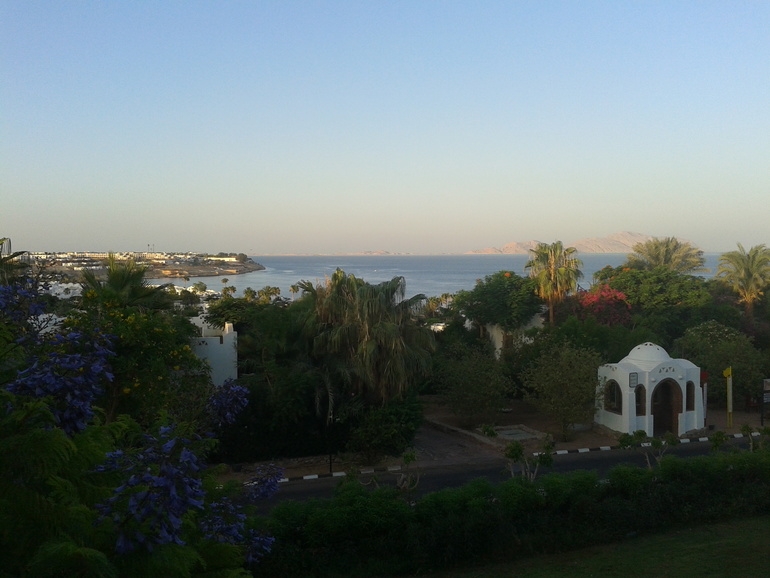 Domina Coral Bay Garem 5*