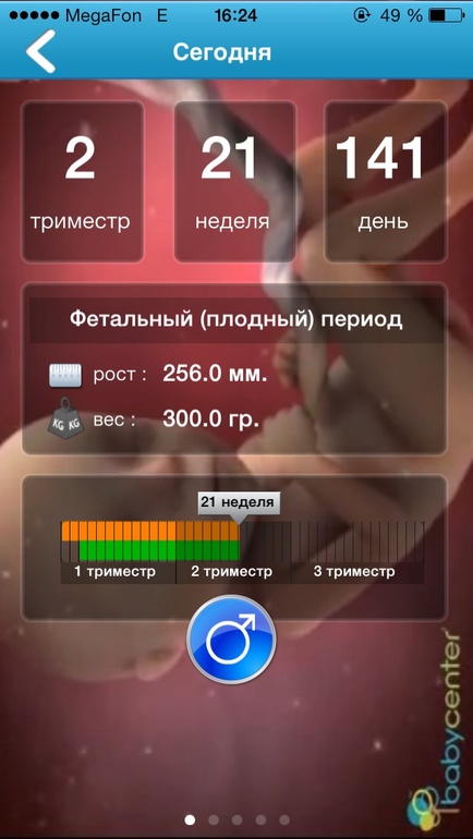 А нам сегодня ровно 20 неделек! Вот и наш экватор!!</div></div> <div tabindex=