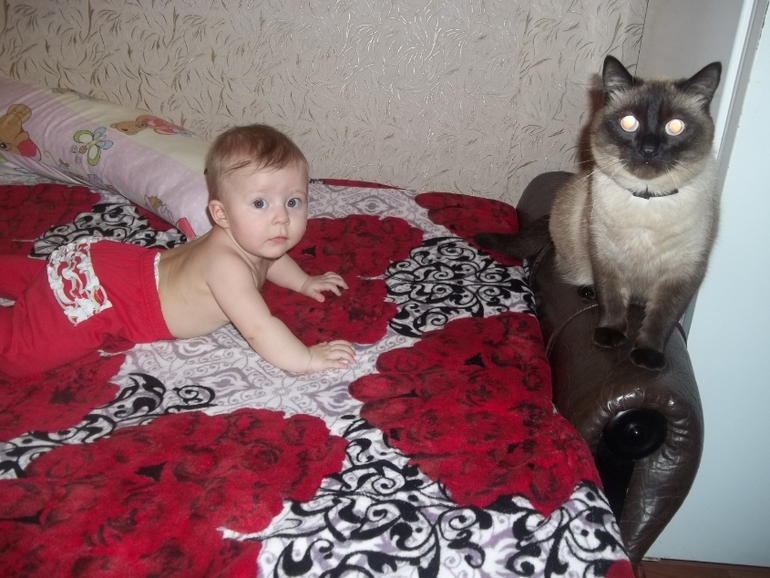 Тася и кот)
