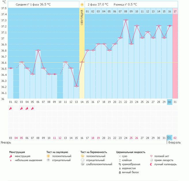 Подскажите, может все таки возможна беременность, судя по этому графику?