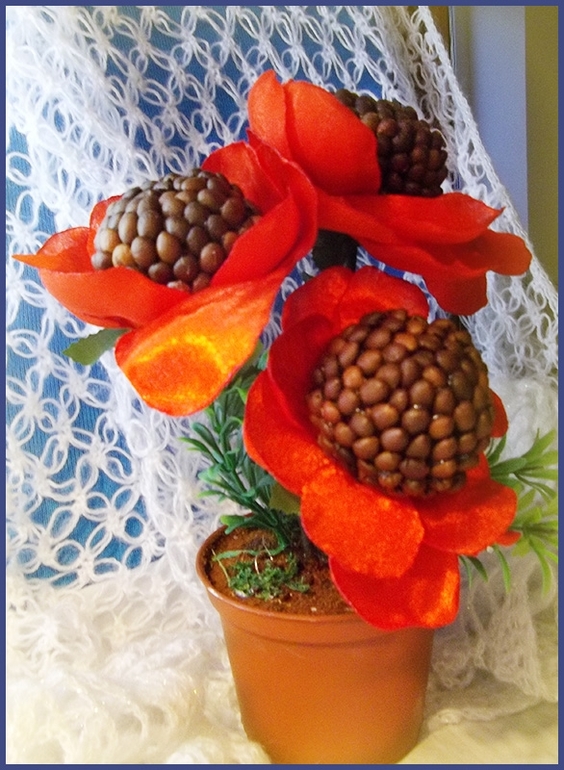 топиарий мак