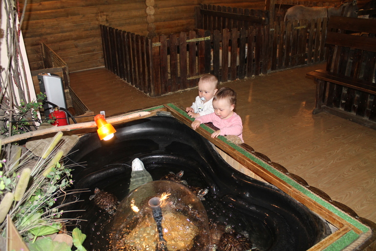 Двойняшки в зоопарке)))