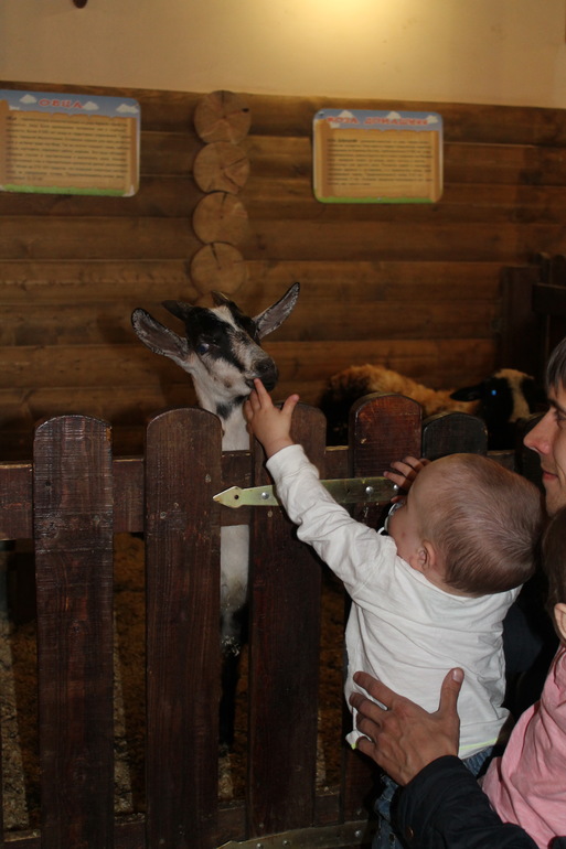Двойняшки в зоопарке)))