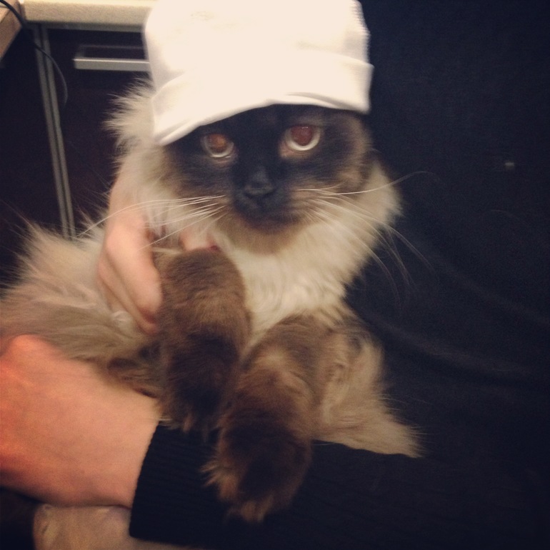 декрет, отдых, покупки, фотки и многое другое...