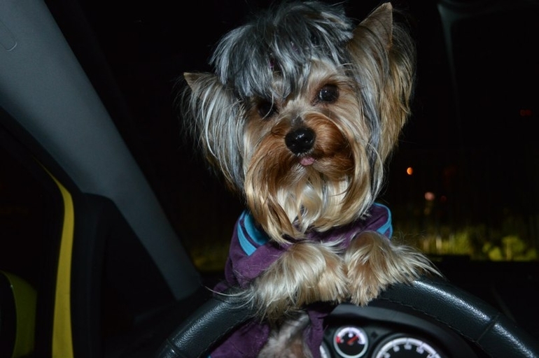 Это наш Марсюша)