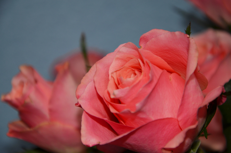 Всех с праздником!