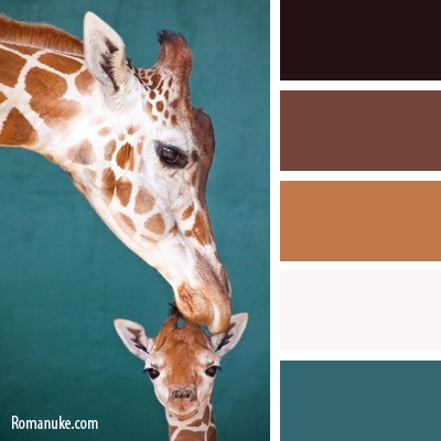 Выбор цвета стен, обоев. НУЖЕН СОВЕТ