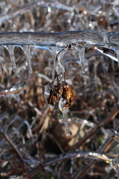 То что твориться за окном)