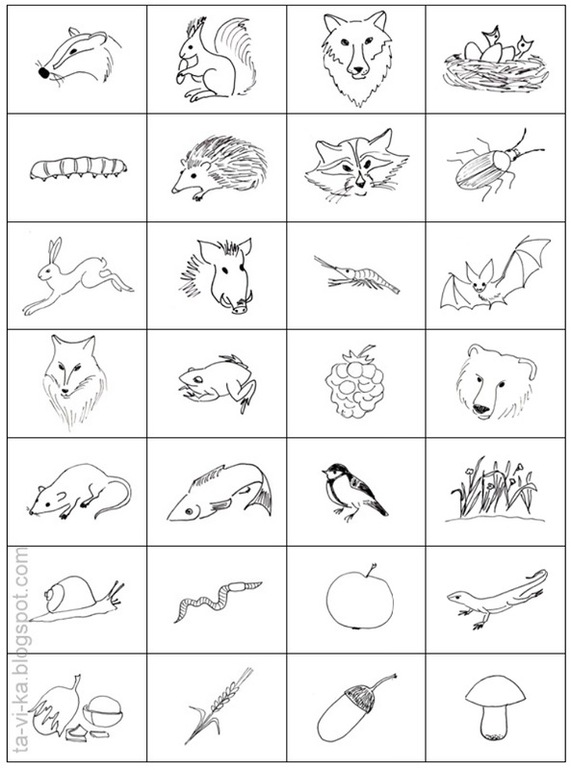 Почему некоторые животные впадают в спячку?