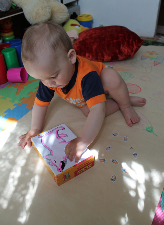 ТЗ ПОРОСЁНОК