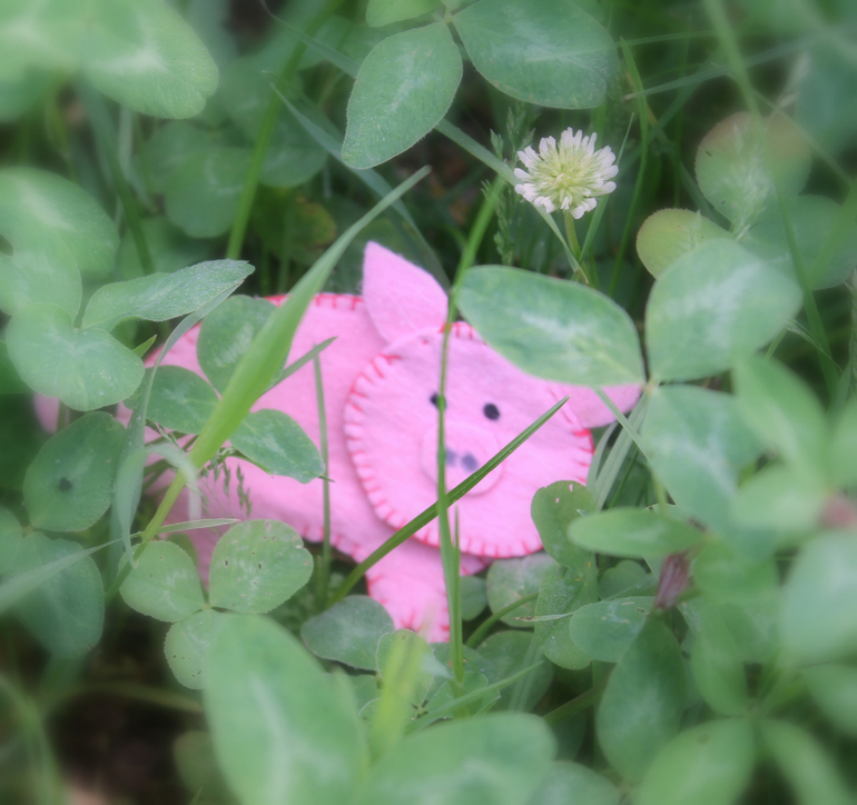 ТЗ ПОРОСЁНОК