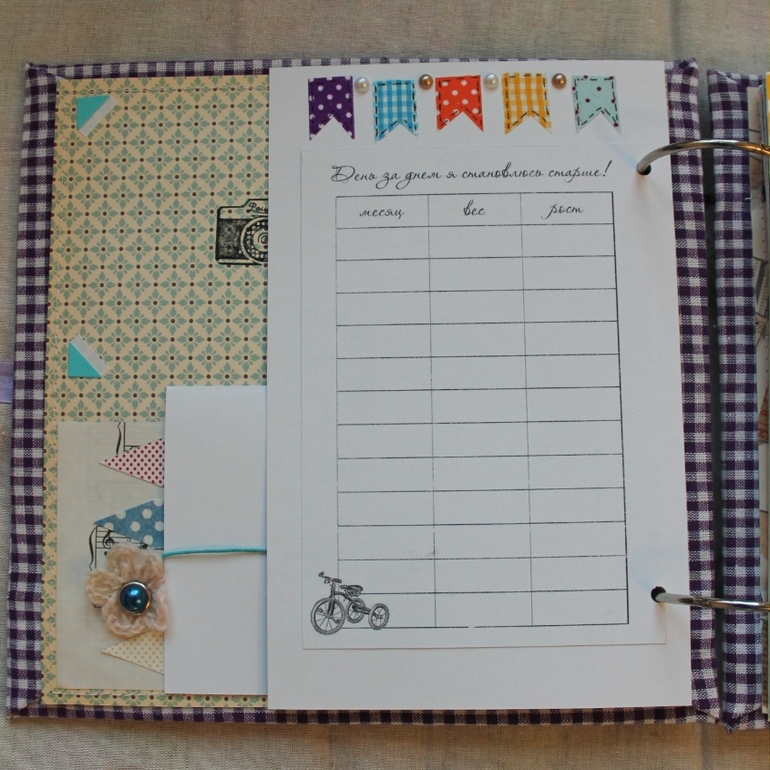 Малышковый сиреневый альбом.