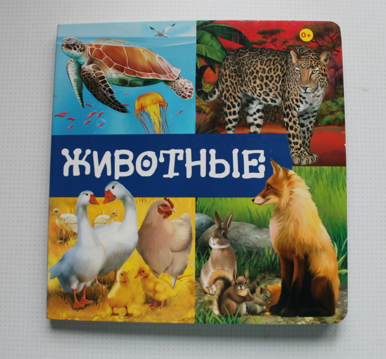 Наши новые КнигоПокупки.