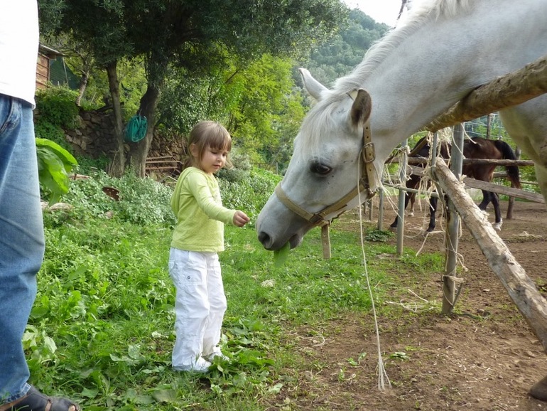 Верховая езда