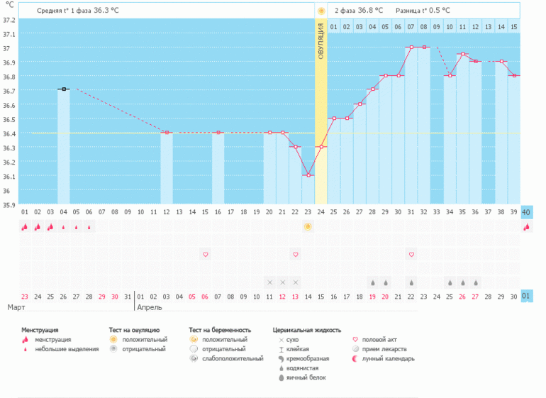 Удлиннился цикт!была ли о???