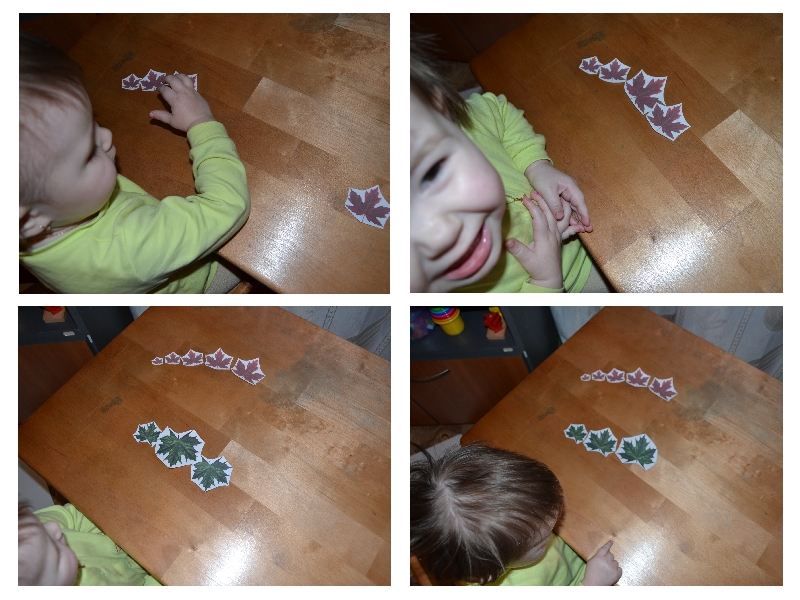 ТН "Деревья" день 1 - лиственные деревья