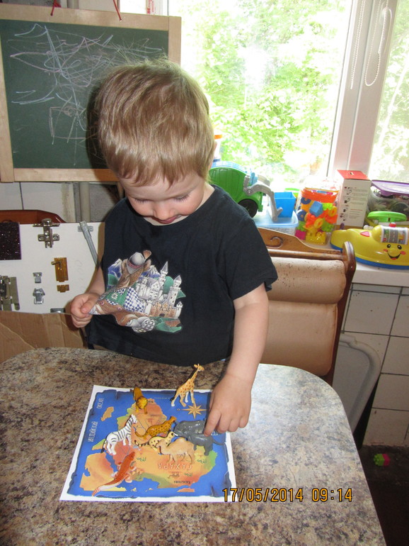 Как мы занимались ("Животные Африки")