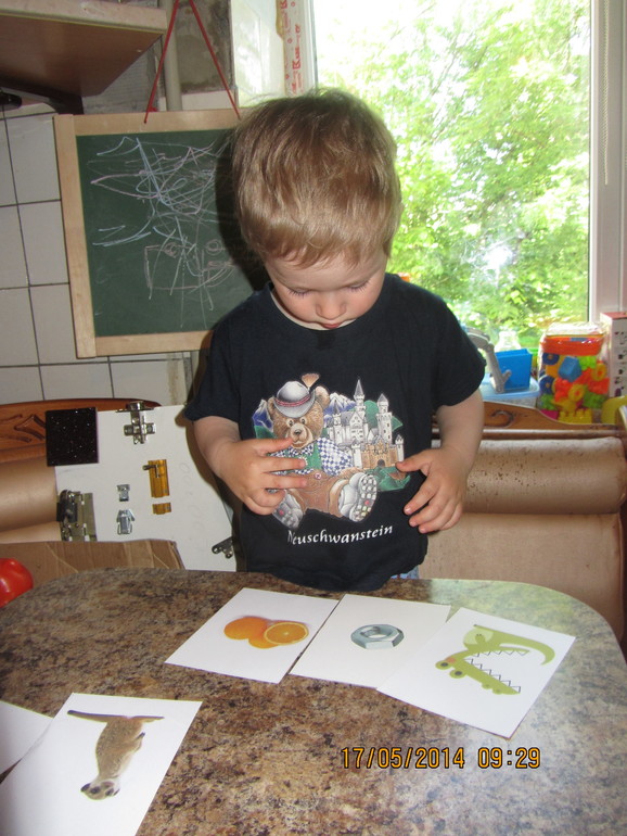 Как мы занимались ("Животные Африки")