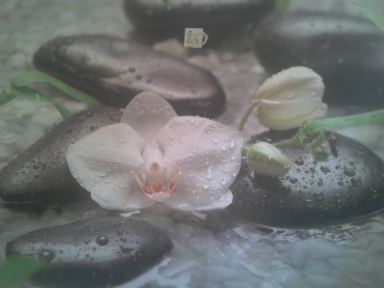 Мини отчет или 21 неделя))