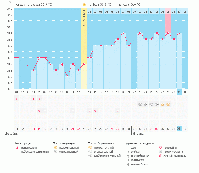 Мой рождественский подарочек))))