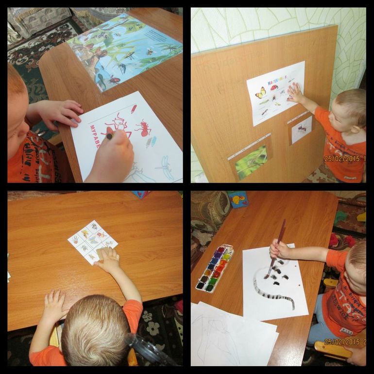 ТН Насекомые. День 2.