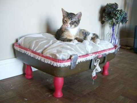 Мой Доменик))