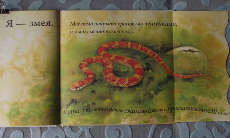 Кто спрятался? Иллюстрации Гая Троутона.