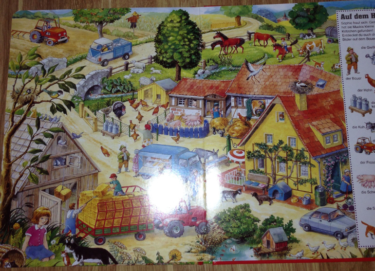 Большая книга Анны Сьюс