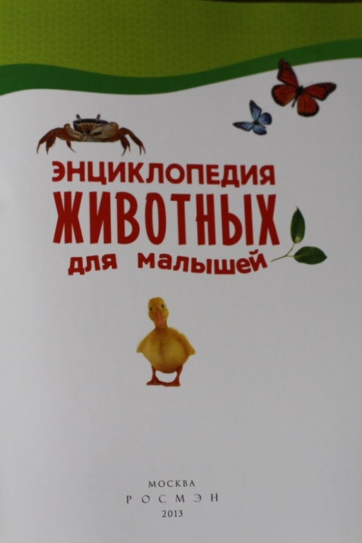 Кабардинка фото поселка и пляжа 2016 Кабардинка фото пляжей и Кабардинка фото поселка и пляжа 2016 Кабардинка фото пляжей и