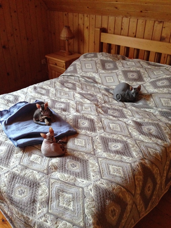 Семейство эльфов)