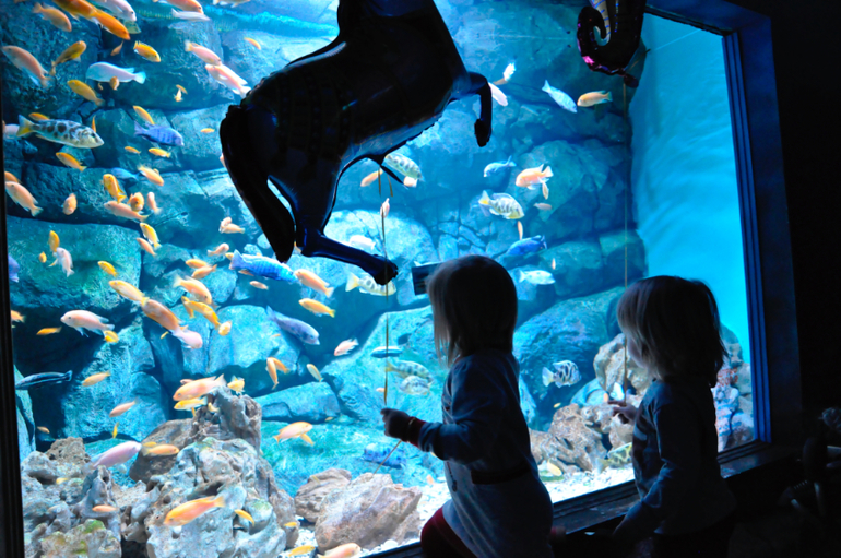 Сходили в океанариум в РИО