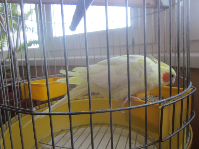 Взлёт №69 День 28