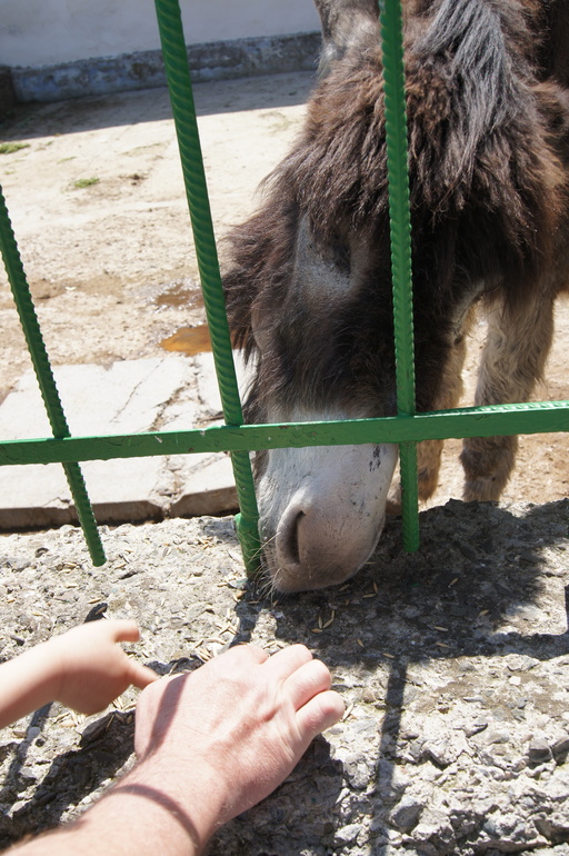 Крым 2014.Зоопарк,Детский парк.